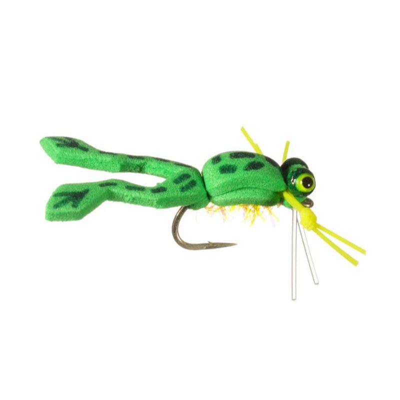 Ward’s Froglet – Rainy’s|8