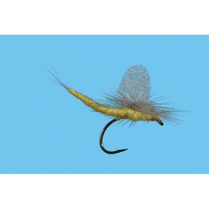 Parachute Extended Body PMD – Solitude