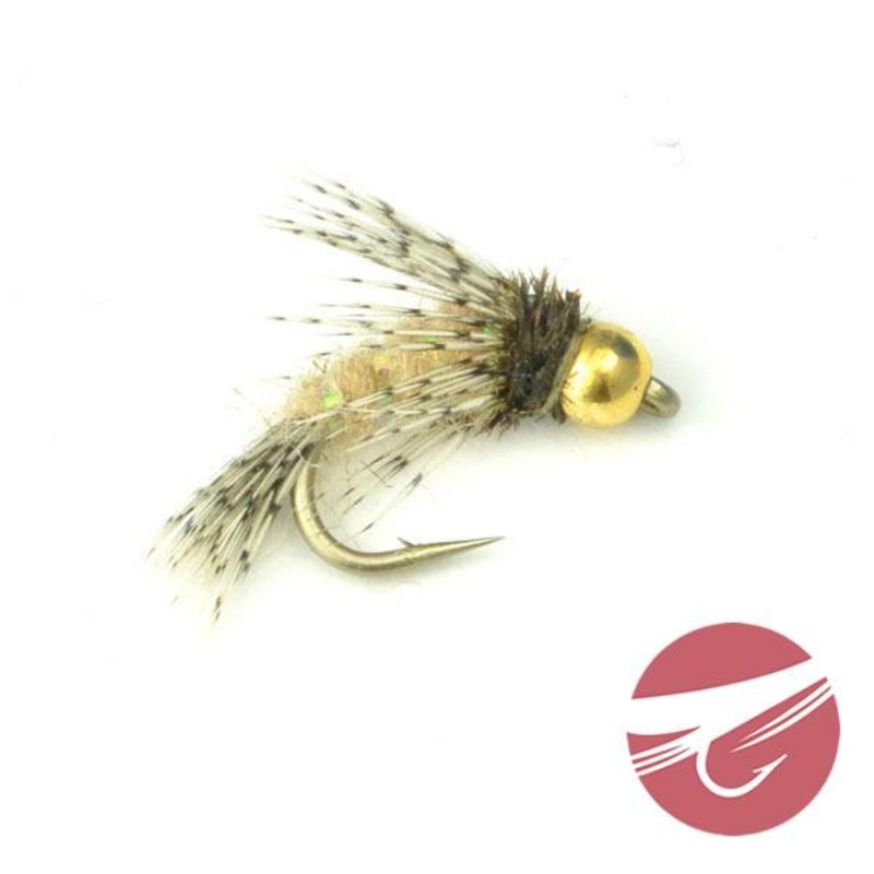 Bird of Prey – MFC Fly|Size 14|Size 16