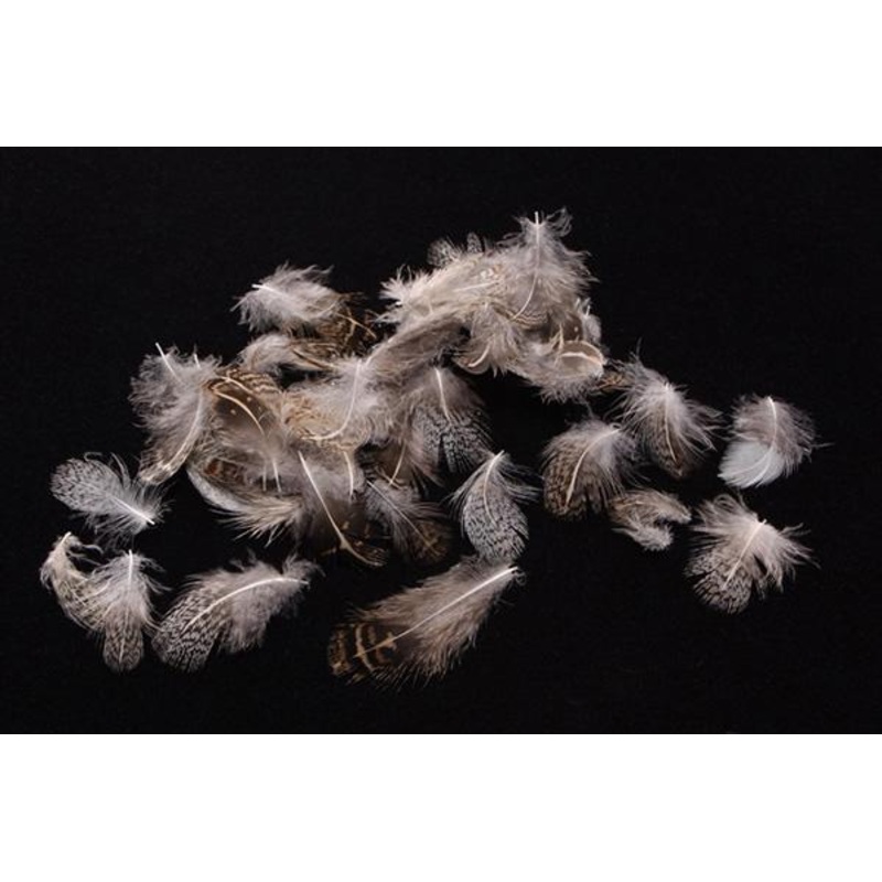 Nature’s Spirit Premium Partridge