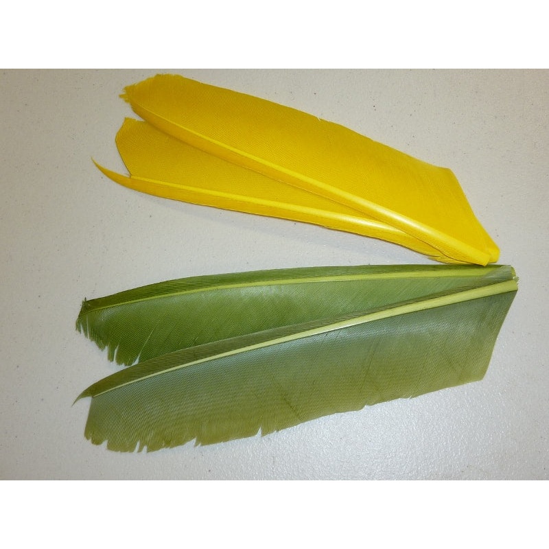 Nature’s Spirit Turkey Biot Quill Pieces