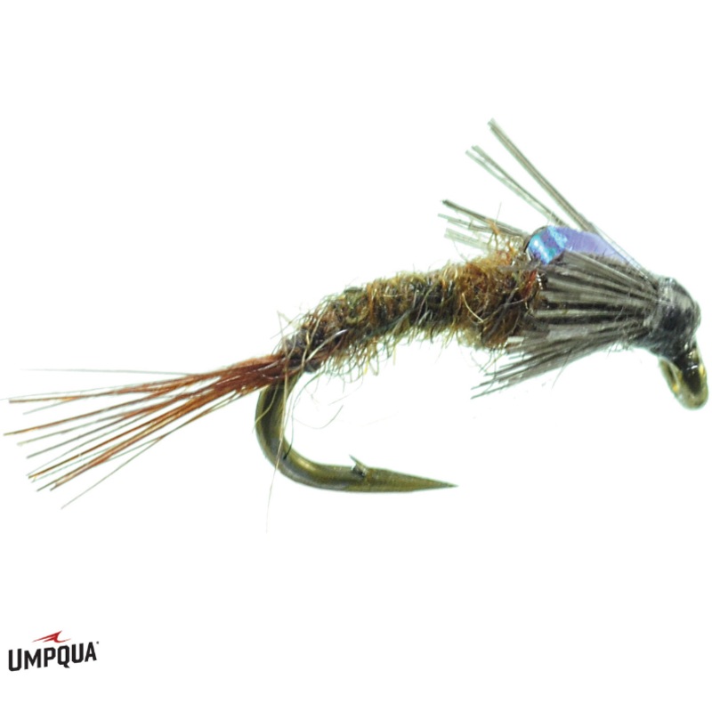 Barr’s Flashback Emerger – Umpqua Fly