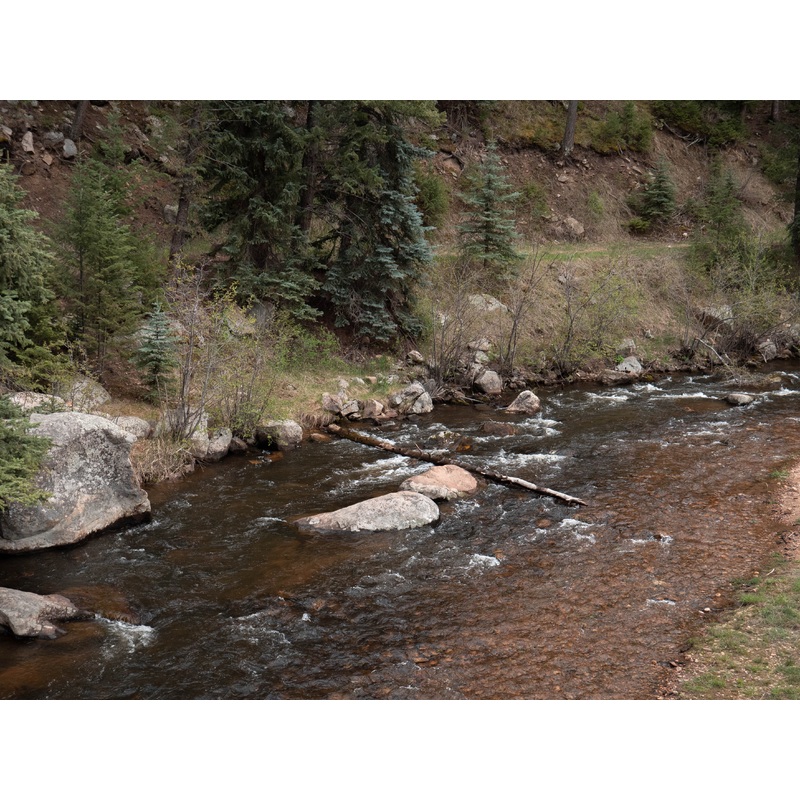 Bear Creek Custom Fly Selection