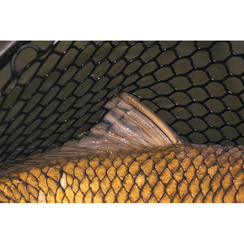Carp – Custom Fly Selection|River|Stillwater