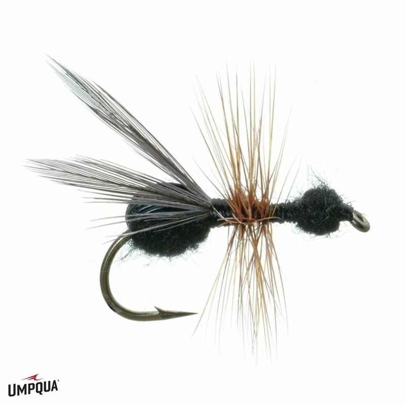 Flying Ant – Umpqua Fly|Size 12|Size 14|Size 16