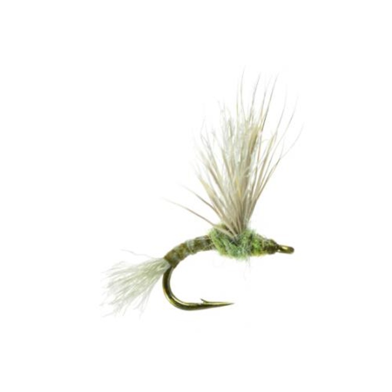 Improved Sparkle Dun – Umpqua Fly