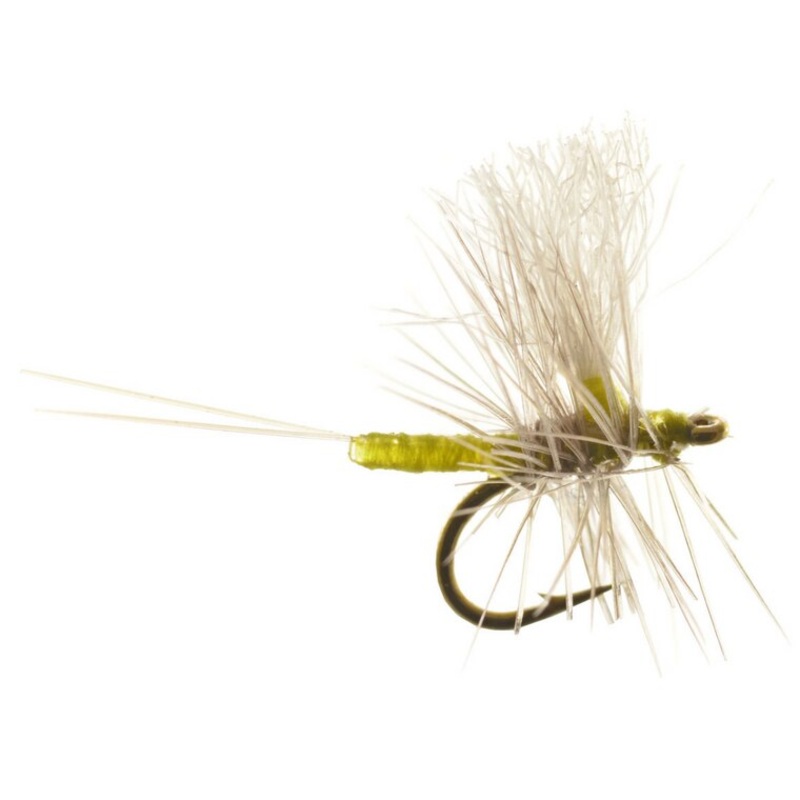 Iwan-E Dun Thorax – Umpqua Fly