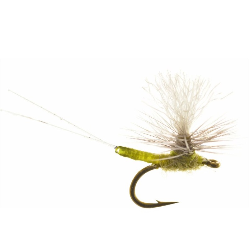 Iwane’s Iwan-E Dun Para – Umpqua Fly