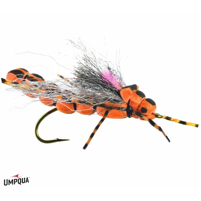 Morningwood Special – Umpqua Fly