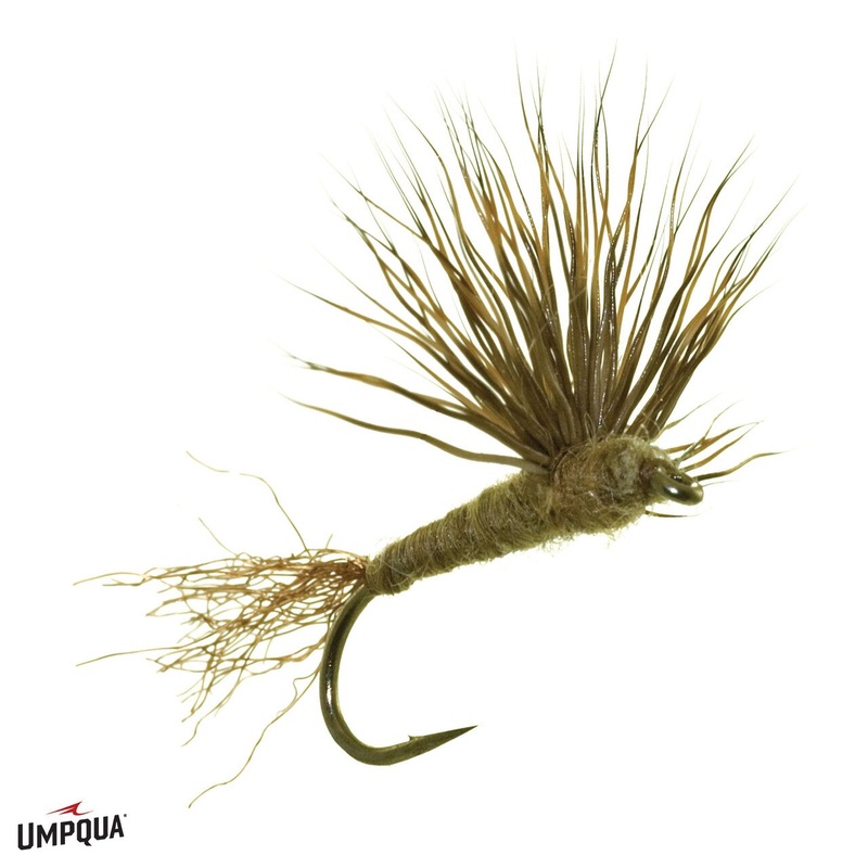 Sparkle Dun – Umpqua Fly|Green Drake|Size 12