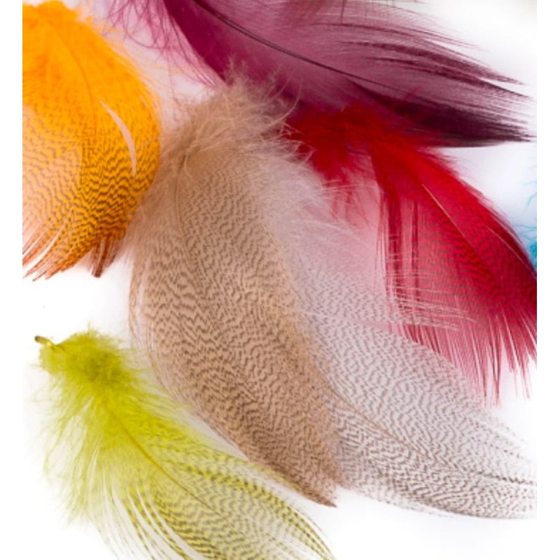 Wapsi Mallard Barred Flank – Large Selects