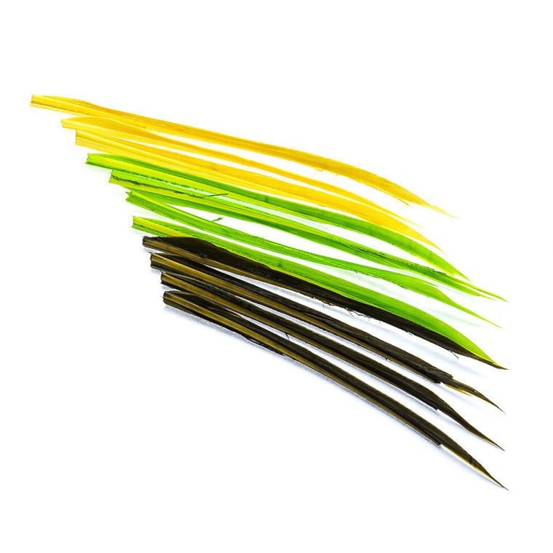 Wapsi Turkey Biots|Black|White|Purple|Blue Dun|Mahogany|Red|Caddis Green|Olive|March Brown|Sulpher Orange|Pink|Fluorescent Chartreuse|Pale Morning Dun