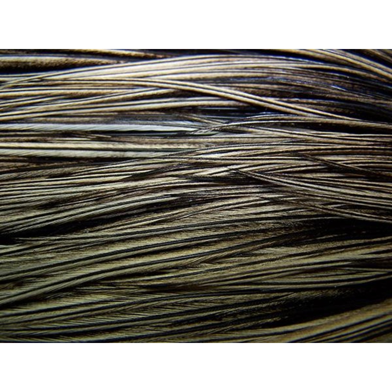 Whiting Farms Rooster Saddle – Bronze Grade