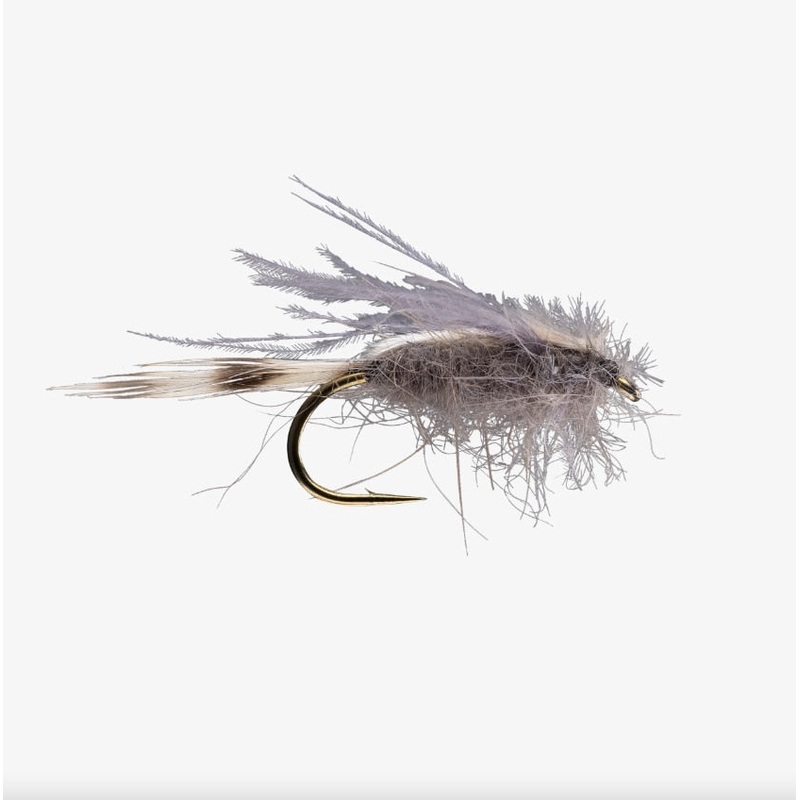 CDC Transition Midge – Rio Fly