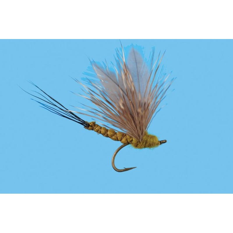 KGB Killer Green Bug – Solitude Fly