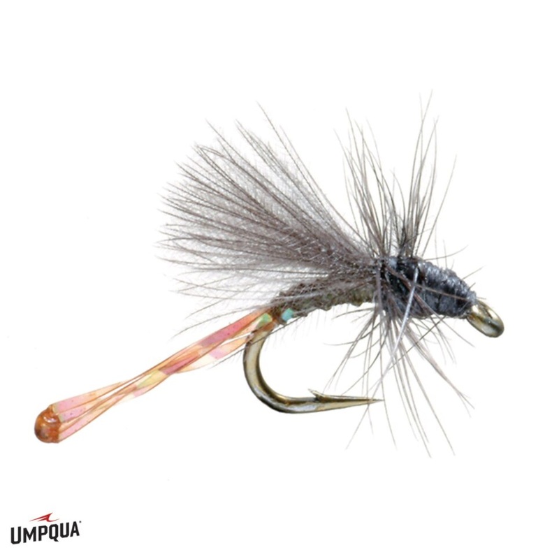 Morgan’s Midge – Umpqua Fly|Size 22|Size 24