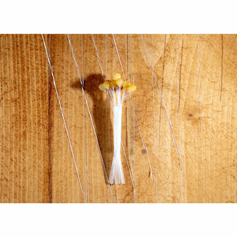 Crab & Shrimp Eyes – EP Large Natural