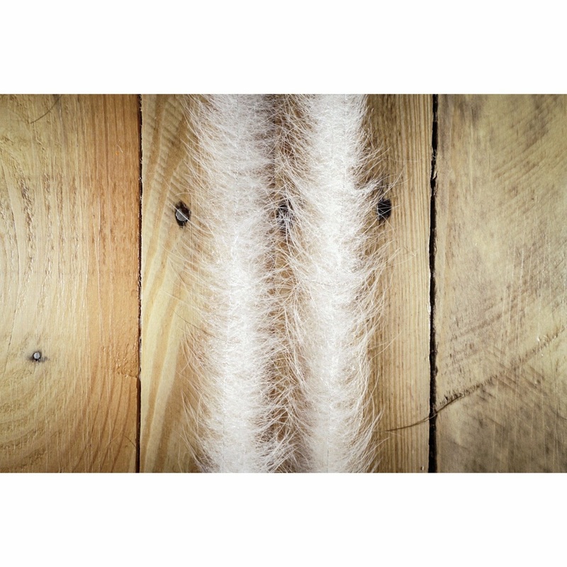 EP Foxy Brush 1.5 – White