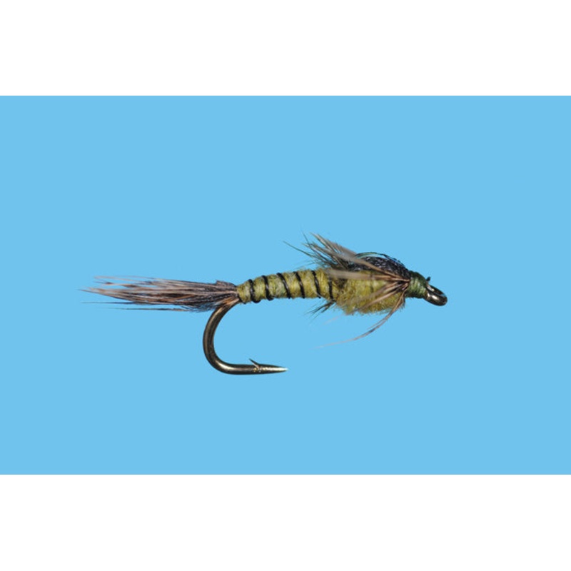 Pandemic May – Solitude Fly|BWO|Size 18|Size 20|Size 22
