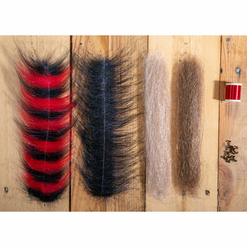 The DLP Minnow DIY Kit – Cockroach