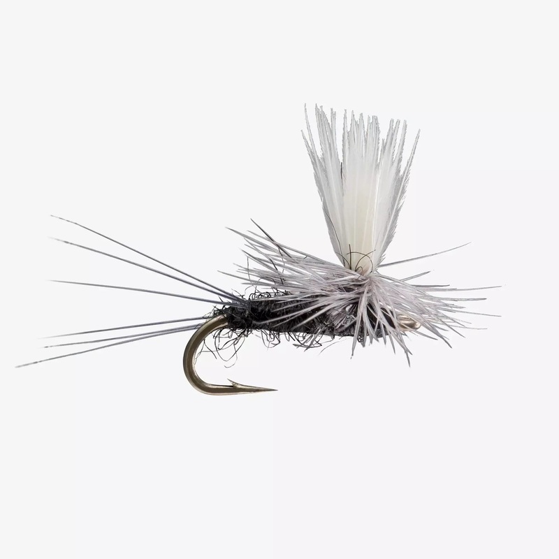 Rio – Parachute : Black|18|20|22