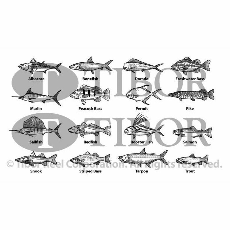 Tibor Fish Engraving|Single Fish Engraving|Two Fish Engraving|Grand Slam|Custom Text
