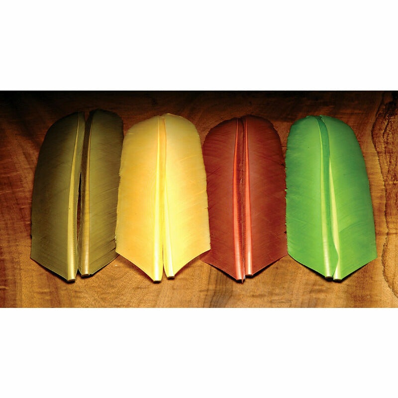 Turkey Biot Quills – All Colors