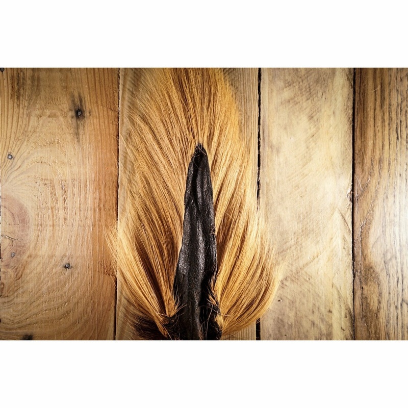 Buck Tail – Camel