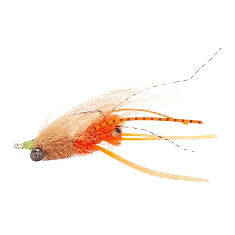 FS Squimpish Shrimp L/Y #8