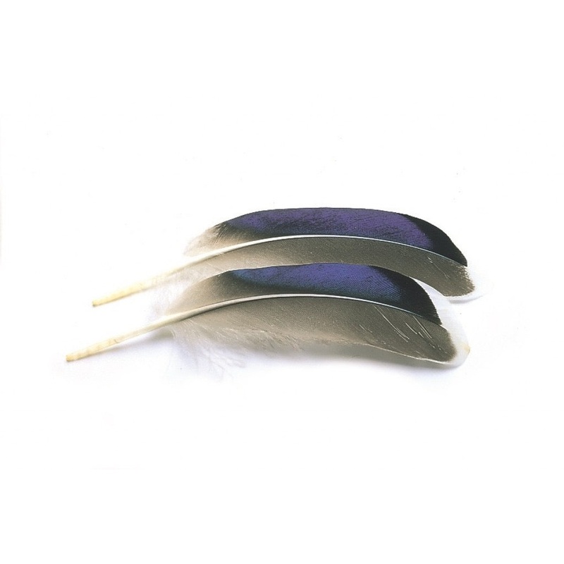 Mallard Duck Wing Quills – Blue / White Tips