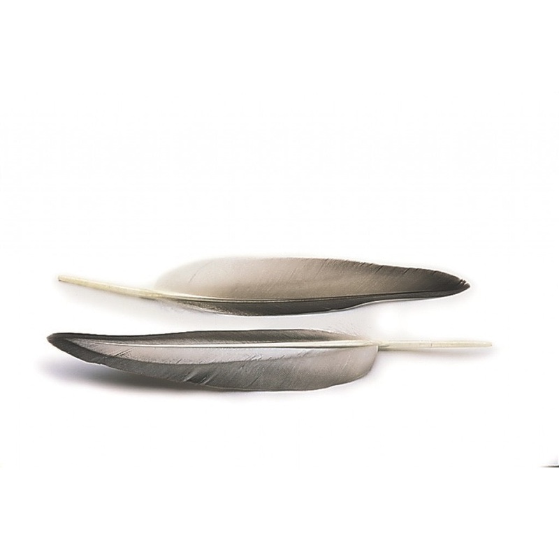 Mallard Duck Wing Quills – Natural Grey