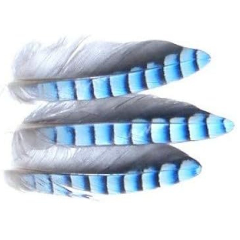 Veniard Blue Jay – Wing Hackles