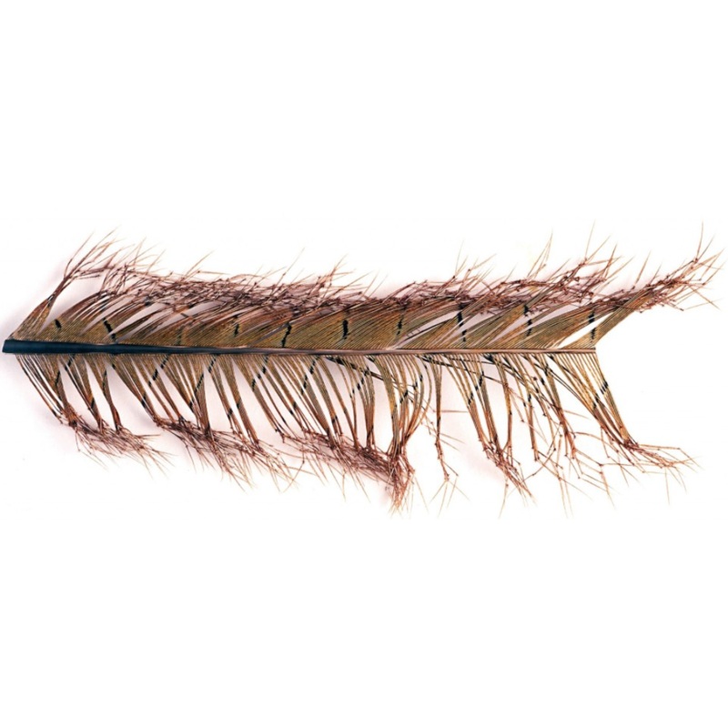 Veniard Cock Pheasant – Knotted Tail