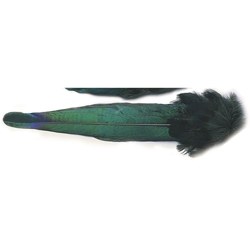 Veniard Magpie – Whole Tail
