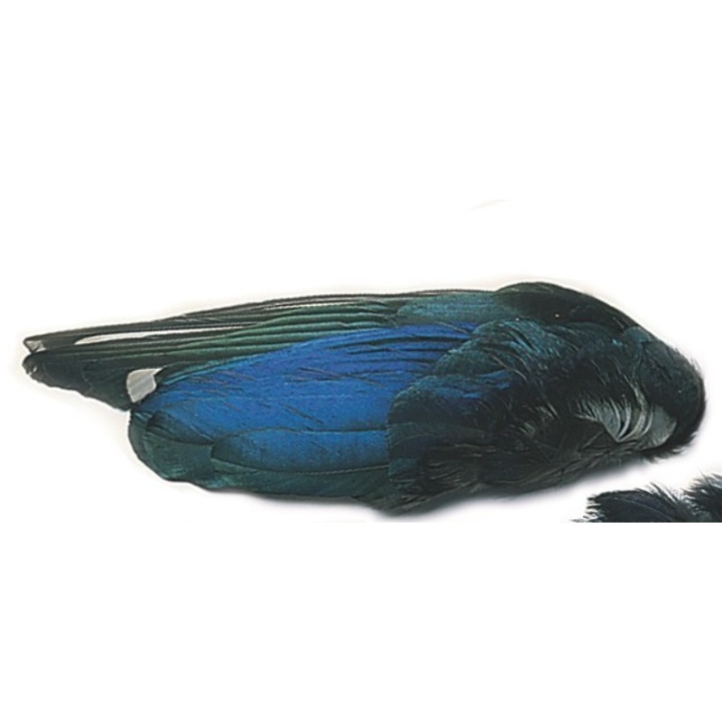 Veniard Magpie Wings