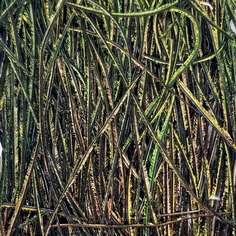 Peacock Herl|1/8th oz – Natural|1/16 oz – Natural