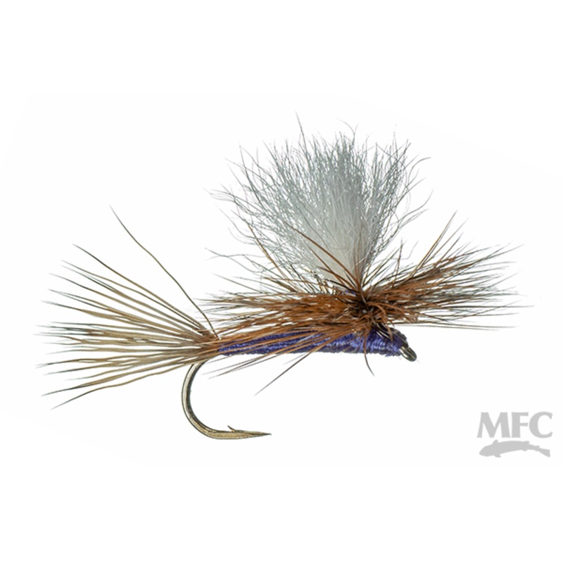 Purple Haze||20||18||16||14||12||10