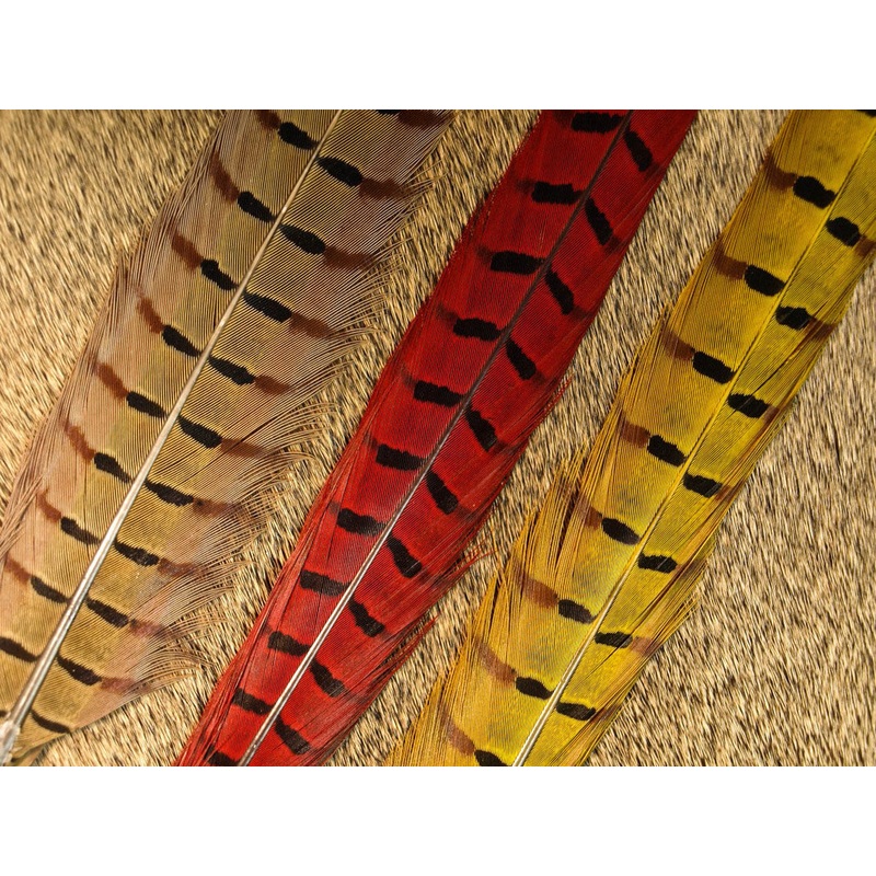 RINGNECK PHEASANT CENTER TAIL|ORANGE|OLIVE|MUSKRAT GRAY|BROWN|NATURAL|GALLOUP’S BROWN OLIVE|BLACK|BLEACHED|FL CHARTREUSE|FL HOT PINK|FL BLUE|CADDIS GREEN|PURPLE|YELLOW|RED