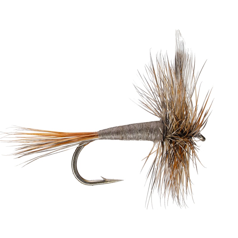 Adams|10|12|14|16|18|20