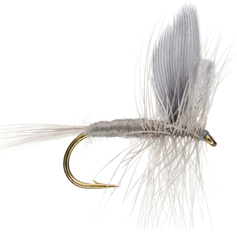 Blue Dun|14|16|18|20