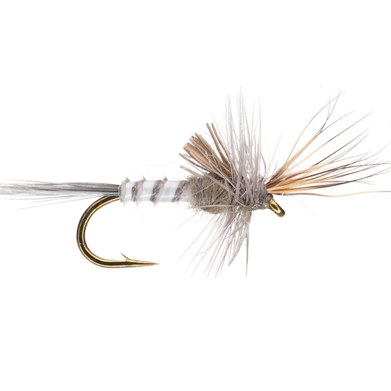 Cripple Blue Dun|Blue Dun|16|18|20