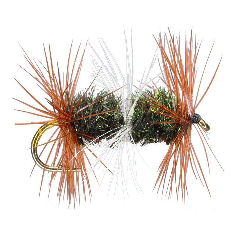 Double Renegade|8|10|12|14