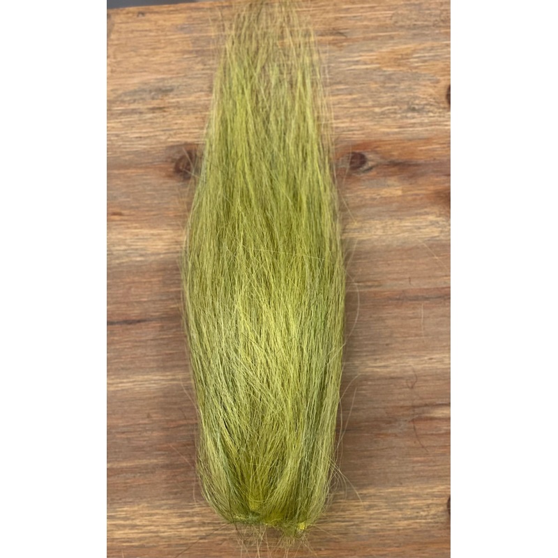 Green Anchovy