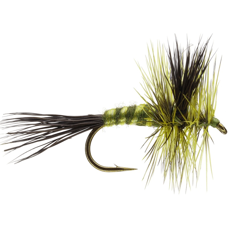 Green Drake Wulff|10|12