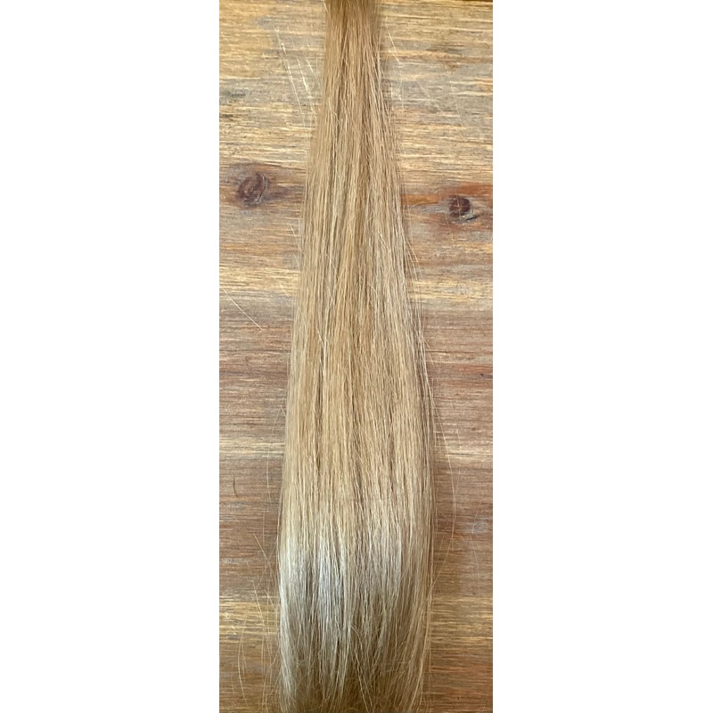 Honey Blonde
