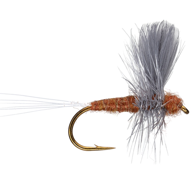 Mahogany Dun|12|14|16|18