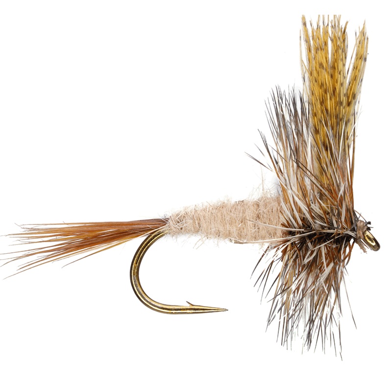 March Brown|10|12|14