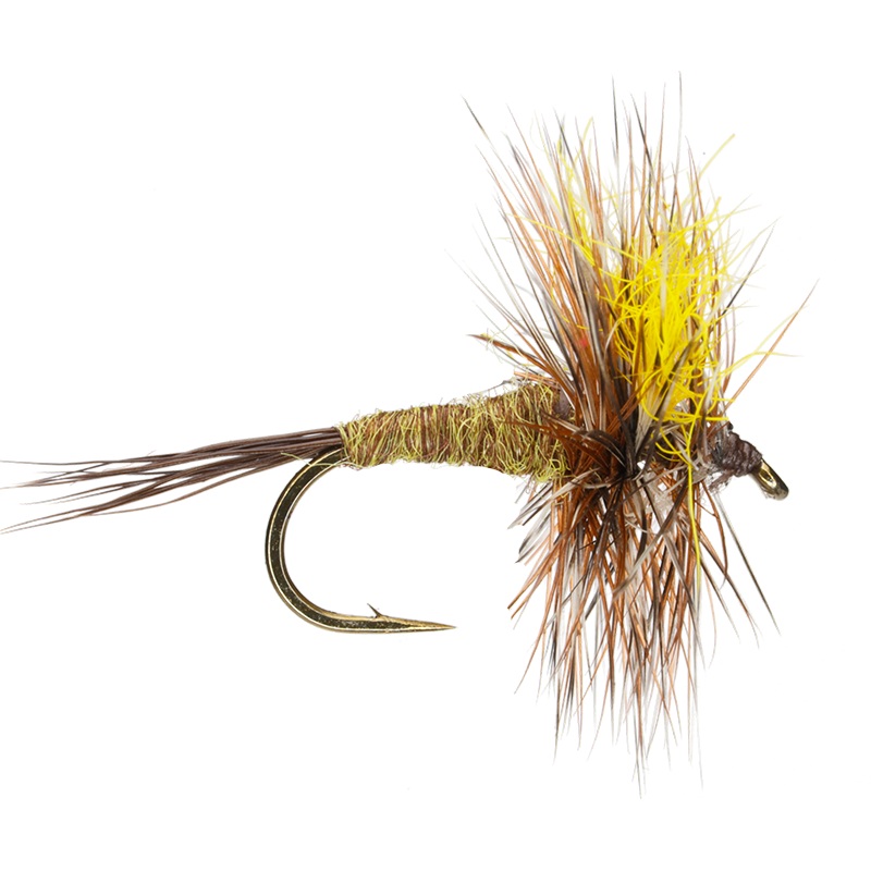 Mr. Rapidan|12|14|16|18