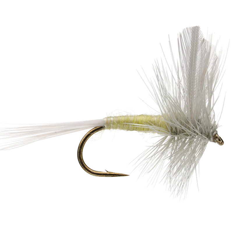 Pale Morning Dun|14|16|18|20