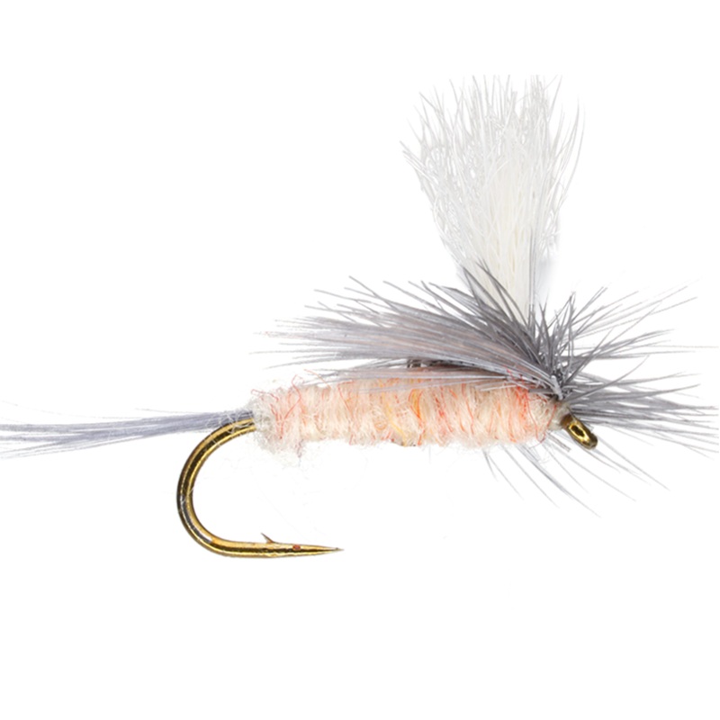 Parachute Pink Cahill|16|18|20